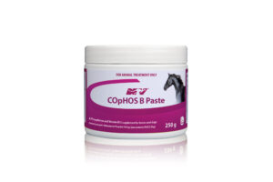 Cophos B Paste , 250g