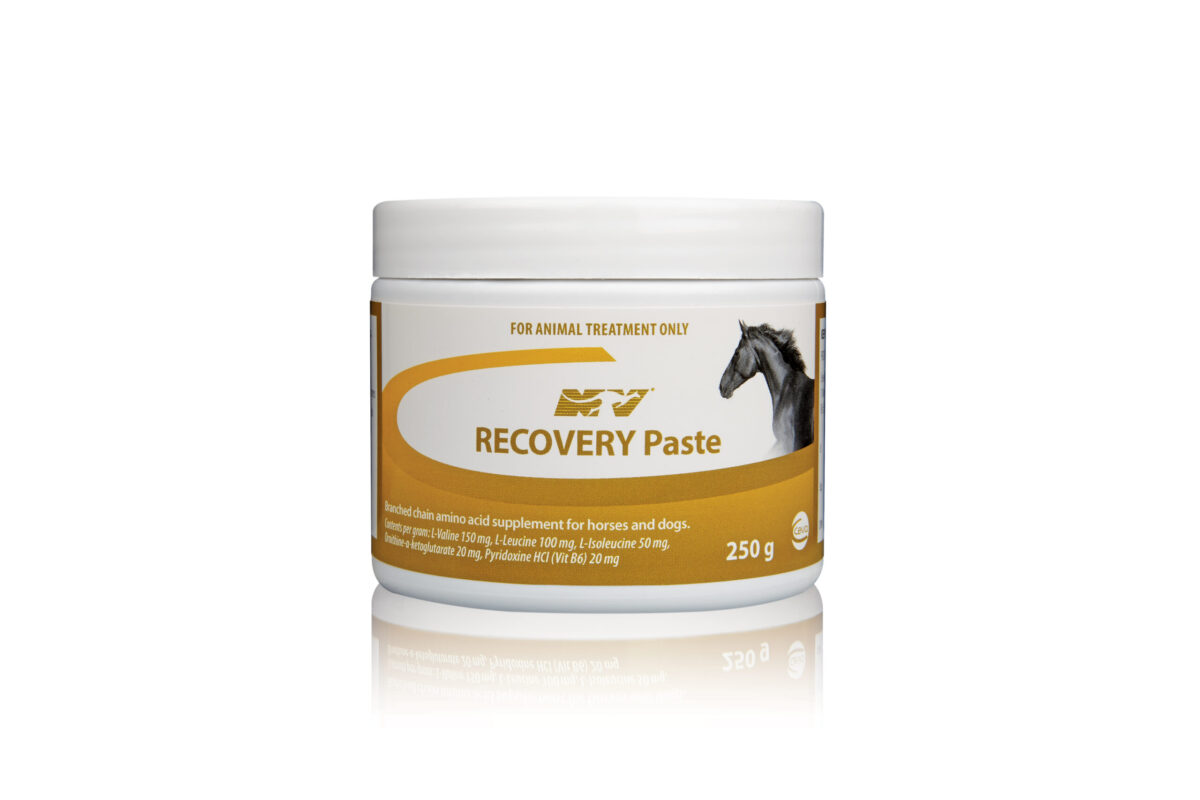 Recovery Paste , 250g