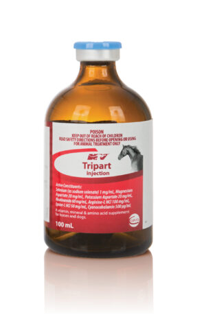 Tripart Export Inj , 100ml