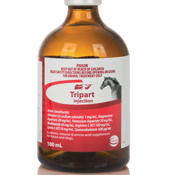 Tripart Export Inj , 100ml