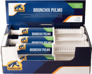 BRONCHIX PULMO Paste , 60g