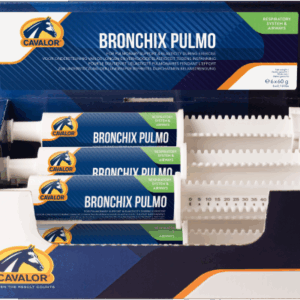 BRONCHIX PULMO Paste , 60g