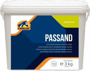 PAS SAND , 3kg