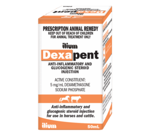Dexapent , 50mL