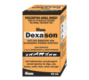 DEXASON Inj , 50ml