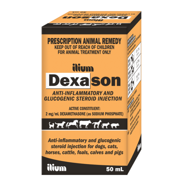 DEXASON Inj , 50ml