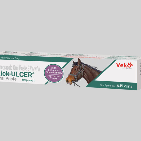 Kick-Ulcer Oral Paste , 6.15g