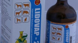 Lidovap 2% , 100ml
