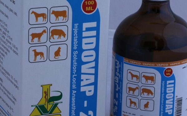 Lidovap 2% , 100ml