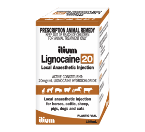 Lignocaine 20 Pet ,100mL