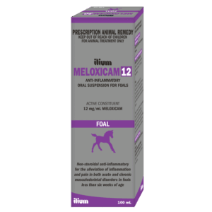 Meloxicam 12 for Foals , 100ml