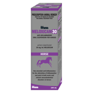 Meloxicam 30 Horse Susp , 100ml