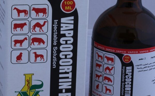 Vapcocortin-Forte  Inj , 50ml