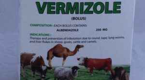Vermizole Bolus 250mg , 5Tab/ Stripe