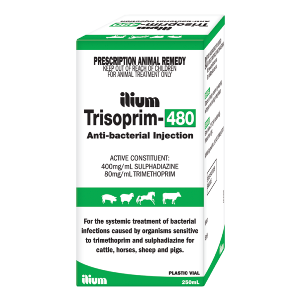 Trisoprim 480 Pet , 100ml