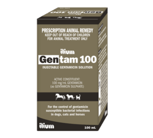 Gentam 100 Mg Inj , 100ml