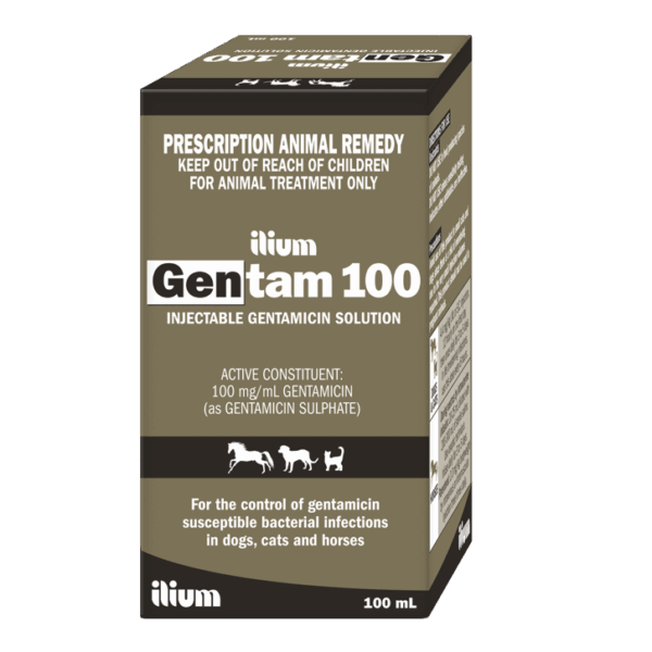 Gentam 100 Mg Inj , 100ml