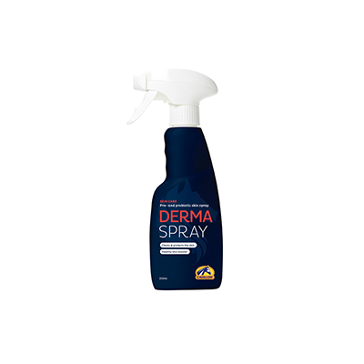 Derma Spray , 250ml