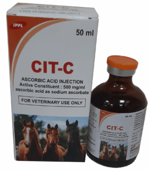 CIT-C - Ascorbic Acid Injection , 100ml