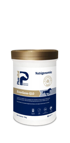 Plusvital EnerGene-Q10 , 750g