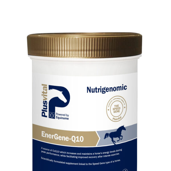 Plusvital EnerGene-Q10 , 750g
