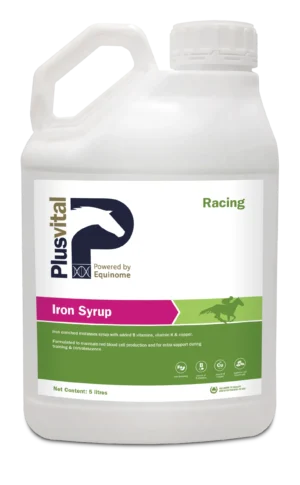 Plusvital Iron Syrup , 5 L