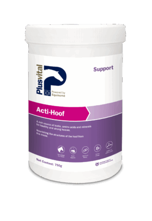 Plusvital Acti-Hoof , 750g