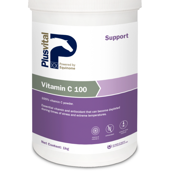 Vitamin C 100 Pow , 1kg