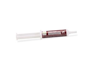 Bionutron Start Paste , 15ml
