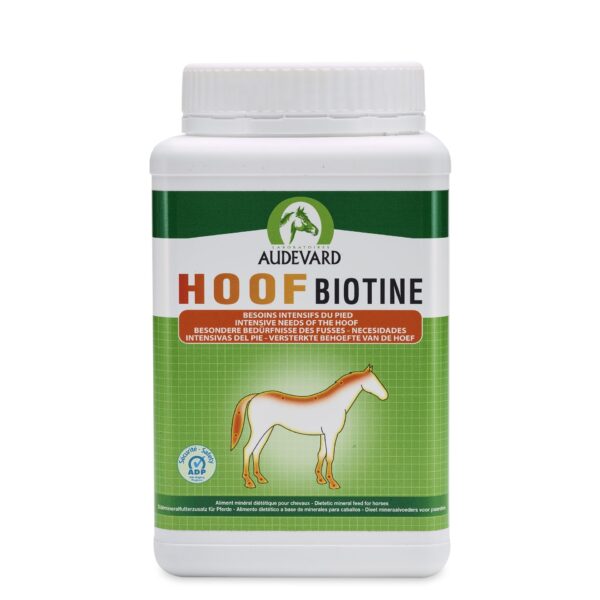 Hoof Biotine Pow , 1kg