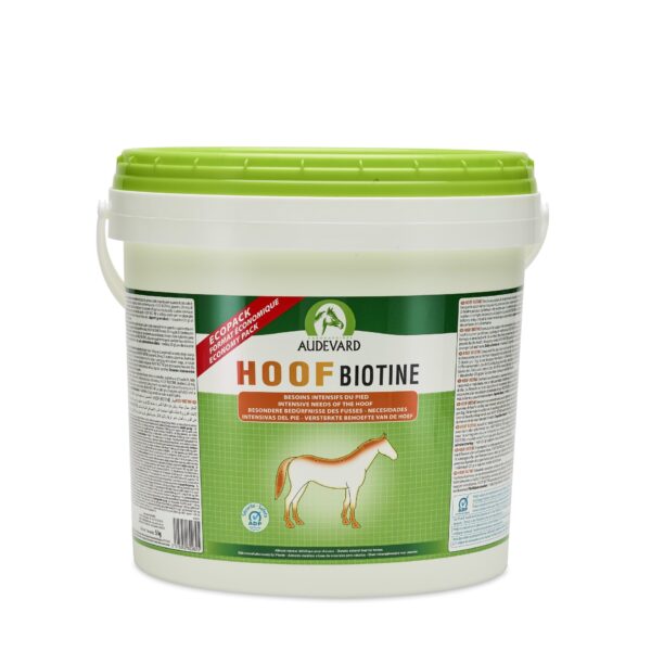Hoof Biotine Pow , 5kg