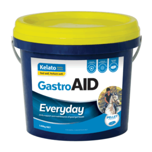 Gastro  Aid  Everyday  , 1.68 Kg
