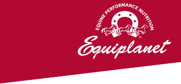 Equiplanet